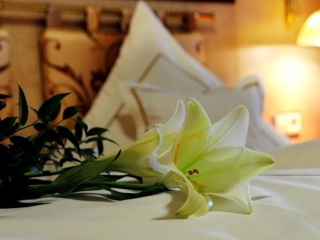Wellness- Und Ferienhotel Waldesruh Bodenmais Quarto foto